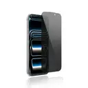 iPhone 16 Pro Max 360 Derece Gizlilik Temperli Cam Ekran Koruyucu - Youngkit AP