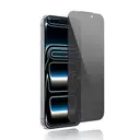 Apple iPhone 16 Pro Youngkit 2.5D Parmak İzi Bırakmayan 0.33mm Privacy Temperli Cam Ekran Koruyucu