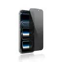 iPhone 16 Pro 360 Derece Gizlilik Temperli Cam Ekran Koruyucu - Youngkit AP 2.5D