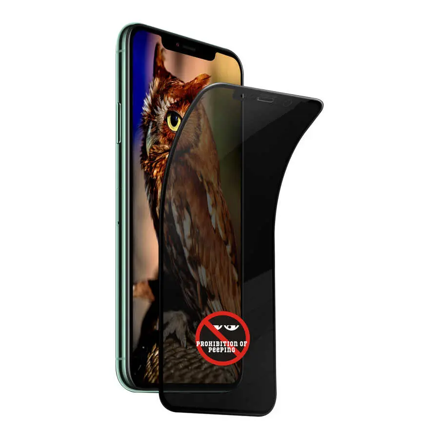 iPhone 12 Pro Max Gizlilik Ekran Koruyucu - Go Des Privacy
