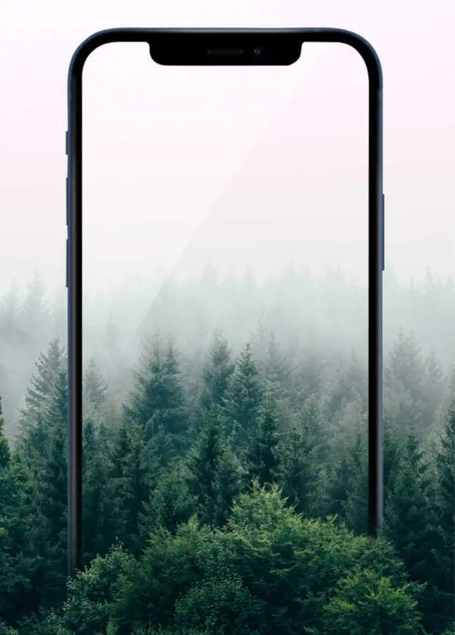 iPhone 12 Pro Gizlilik Ekran Koruyucu - Wiwu iPrivacy HD Anti-Peep