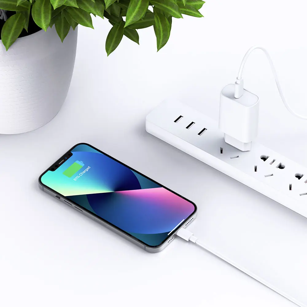 Wiwu Wi-U001 Quick 20W Type-C PD Hızlı Şarj Adaptörü