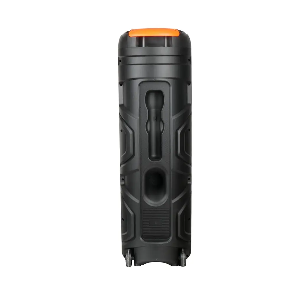 Zore GD-2887 Mikrofonlu RGB TWS Bluetooth Karaoke Hoparlör, 8 inç